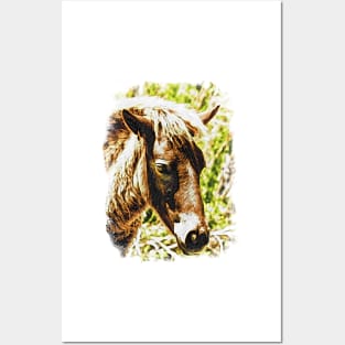 Assateague Pony Wyld Wynds Colt Watercolor Posters and Art